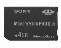 4 GB. Sony Memory Stick Pro Duo